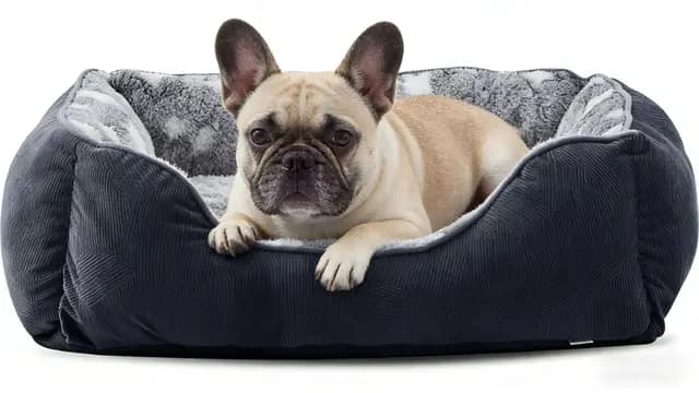FURTIME Cama para Perros Pequeños Antideslizante y Antiestres - Caseta Lavable, Colchón, Cuna, Sofá - S(51x48x18cm) Negro