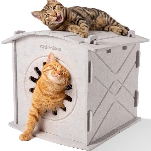 Casa para Gatos Interior de Fieltro: Cálida Cueva para Gatos Invierno, Casa Gatos Robusta, Casa Gato con Entrada Rascadora, Cama para Gatos Fácil de Limpiar y Montar, Cueva Gato 38x36x38cm