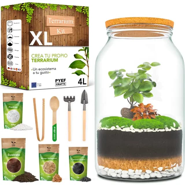 Kit Terrario Plantas XL - DIY Kit con Frasco Grande Terrario Cristal - Ecosistema Cerrado para Jardin Eterno - Terrarium Plantas Ecosistema - Sin Planta (Set con Frasco 4L)