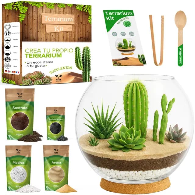 Kit Terrario Plantas Suculentas & Cactus DIY - Kit Terrario Cristal Ecosistema Desierto - Set Pecera para Plantas Suculentas & Cactus Naturales - Jardín Eterno Desértico (Sin Planta) (2L)