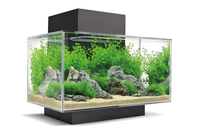 Fluval Edge Nano Acuario, Negro, 23 L