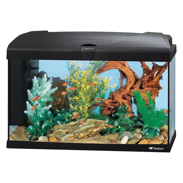 Hydor Acuario 60 litros para Peces Tropicales o de Agua Dulce, Incluye: Lámpara LED, Filtro Interno 2 Etapas para Agua cristalina, Calentador, 60 x 31,5 x h 39,5 cm Negro