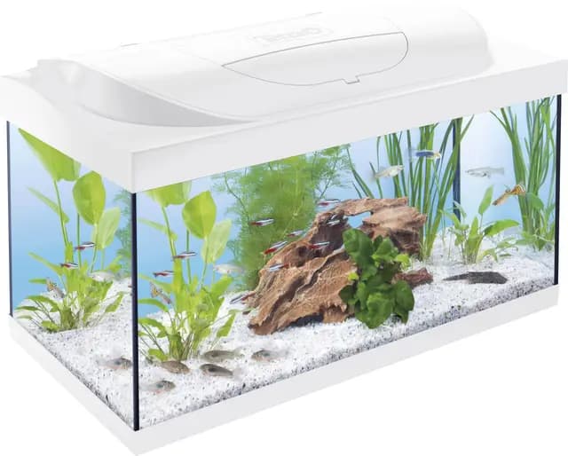 Tetra Starter Line LED 54L Acuario de Inicio Blanco, Bombilla LED con Modo luz Diurna/Nocturna