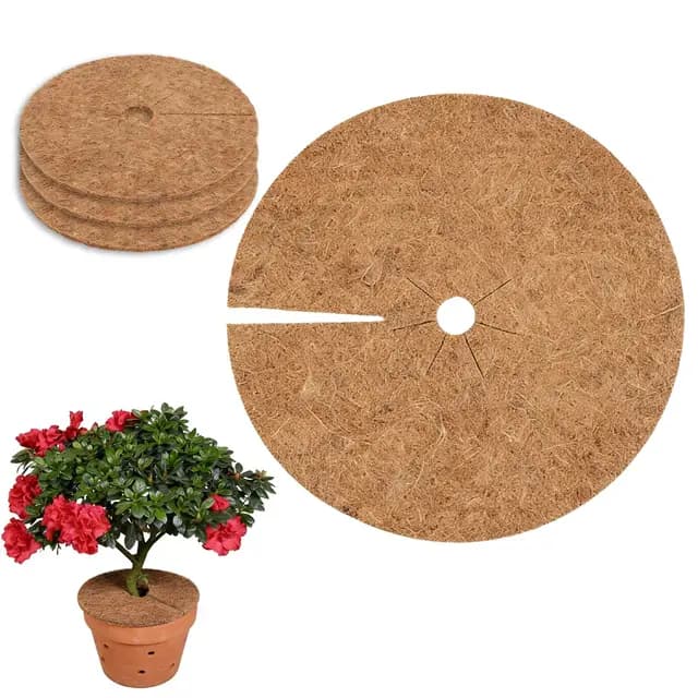 4 esterillas de Coco para Plantas con Cubierta, de Fibra de Coco Biodegradable, protección para raíces y Barrera contra Malas Hierbas, Ideal para Plantas en Maceta, Invierno (30cm)
