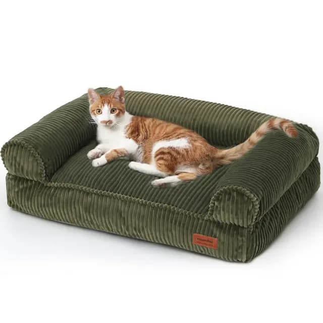 FUKUMARU Cama para Gatos, Sofá Cómodo de Terciopelo para Gatos de Interior con Funda Desmontable y Lavable, Cama para Perros Antideslizante y de Apoyo para Perros Pequeños, 72 x 52 x 22 cm, Verde
