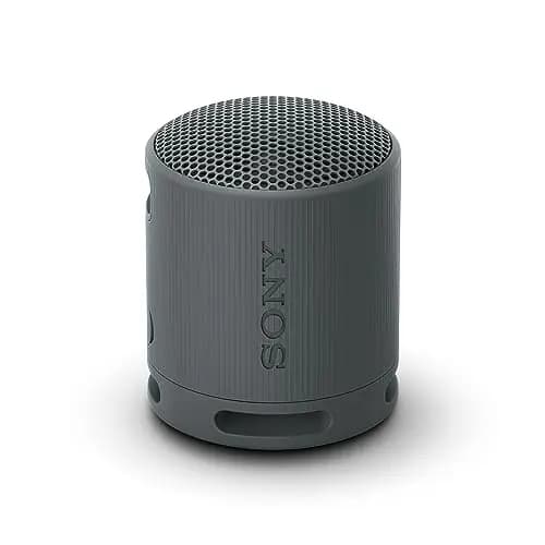 Sony Altavoz Bluetooth SRS-XB100, Ligero, Compacto, Altavoz Resistente al Agua y al Polvo IP67, hasta 16 h de batería, Correa Adaptable, Negro