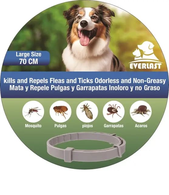 Collar Antiparasitario para Perros y Gatos - Protección contra Pulgas, Garrapatas y Mosquitos hasta 8 Meses - Impermeable, Ajustable y Cómodo (1, Gris, 72CM)