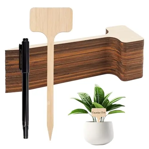 dgn etiquetas bambú forma t 17,8 cm 30