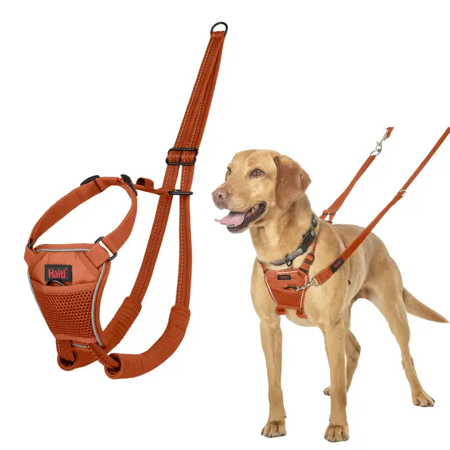 Arnés anti tirones HALTI - Para evitar que tu perro tire de la correa, Ajustable, Ligero y Fácil de Usar. Reflexiva Adiestramiento canino Arnés para perros medianos (Talla M, Naranja Quemada)