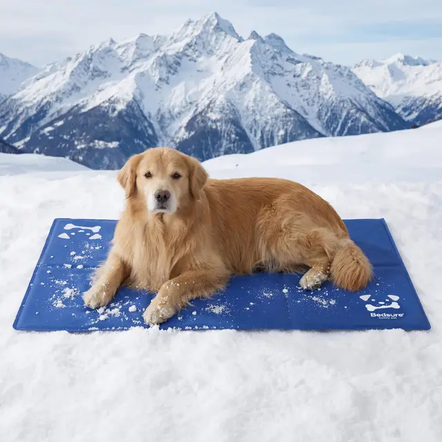 BEDSURE Alfombrilla de refrigeración para perros extragrande – 120 x 75 cm – Alfombrilla de gel autorefrigerante con tela Oxford 300D resistente a los arañazos – Esterilla de refrigeración plegable