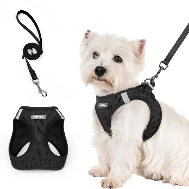rabbitgoo Arnes Perro Pequeño con Correa Reflectante, Negro S, Chaleco Perro Ajustable Fácil de Poner, Arnes Antitirones de Malla Suave Transpirable, Arnés para Perros Pequeños Cachorros