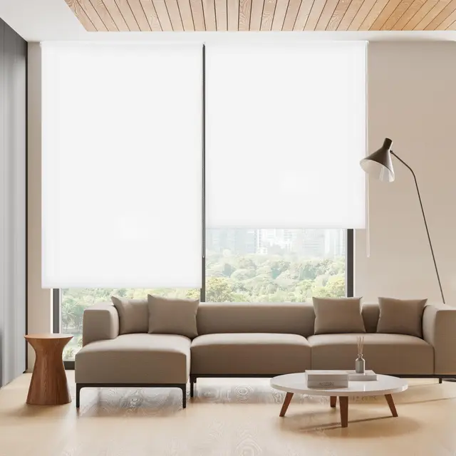 blindecor ara estor enrollable 120x175