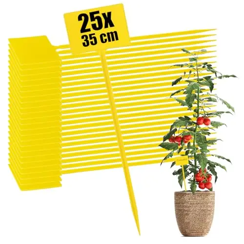 com-four 25 etiquetas plantas amarillas