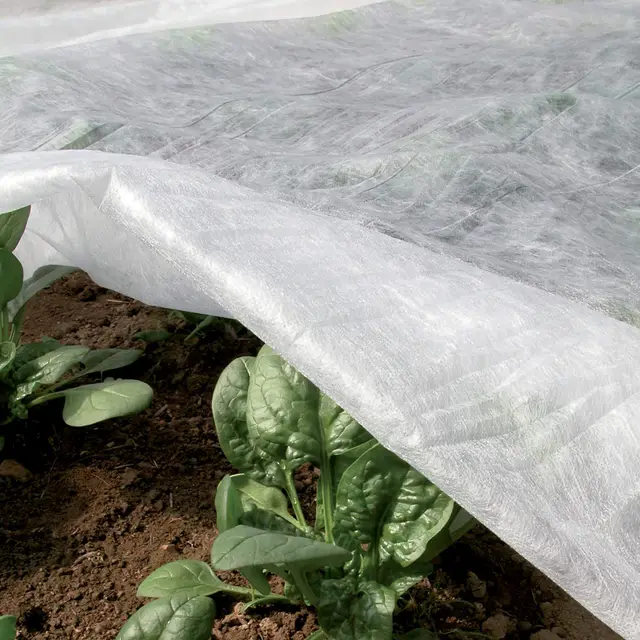 tenax ortoclima plus 1,60x10m