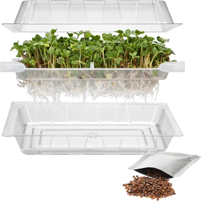 browin 745748 germinador con tapa y