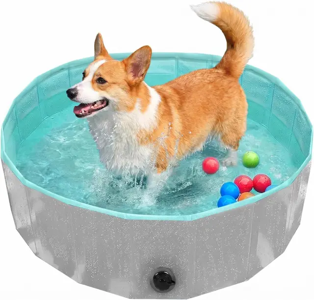 Piscina para Perros Grandes y Pequeños, Piscinas Plegable Rigida Antideslizante, Bañera para Mascotas Portátil con Desagüe, para Mascotas, Gatos, Uso Interior y Exterior (80x20cm) (Small)