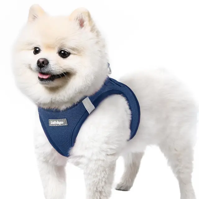 rabbitgoo Arnes Perro Pequeño Azul Oscuro S, Arnés Antitirones para Perros Ajustable Fácil de Poner, Arnes Cachorro de Malla Suave Transpirable, Chaleco Reflectante para Perro Pequeño y Mediano