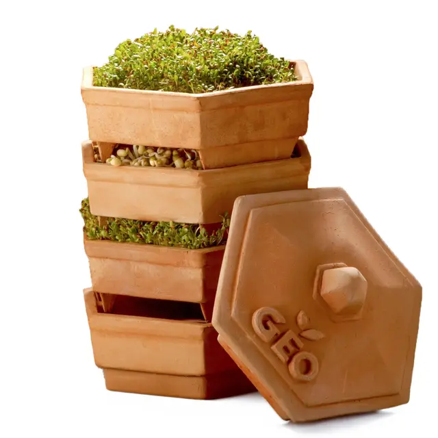 bavicchi geo-t150 germinador de barro