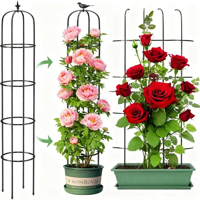LATERN 1 Pieza Enrejado de Obelisco de Jardín para Plantas Trepadoras, 180CM Altura Soporte Metálico para Plantas con Revestimiento Antioxidante para Macetas Plantas Rosas Tomates Pepinos Flores Uvas