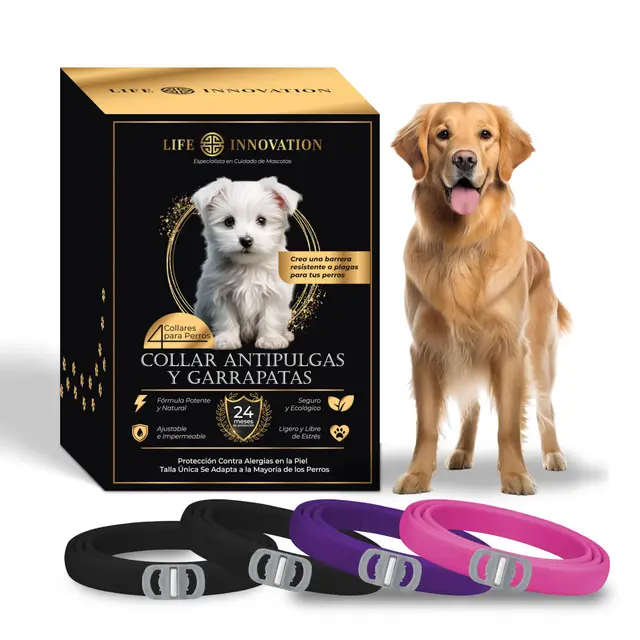Pack 4 Collares Antiparasitarios para Perros, 24 Meses de Protección contra Pulgas, Garrapatas y Mosquitos - 100% Natural, Impermeable, Ajustable, para Todos los Tamaños.