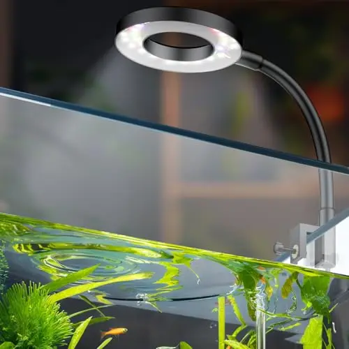 pawfly led luz de acuario clip usb