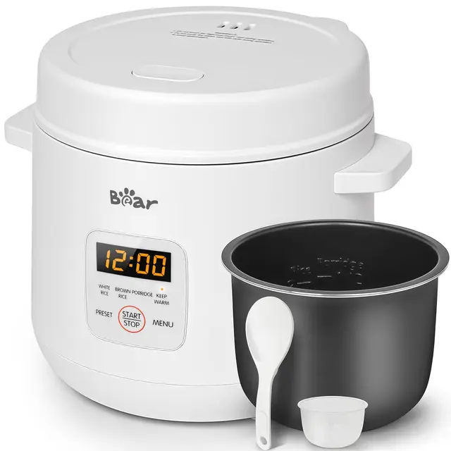 bear dfb-s12e6 arrocera 1.2l 300w