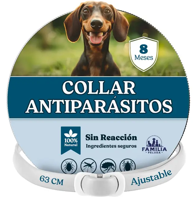 Collar Antiparasitario Perros, Collar antipulgas Perros pequeños y Grande, Leishmaniosis (Mosquitos), Pulgas y Garrapatas - 8 Meses - 63cm Ajustable, Repelente 100% Natural, Impermeable