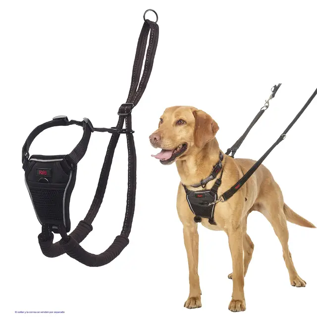 Arnés anti tirones HALTI - Para evitar que tu perro tire de la correa, Ajustable, Ligero y Fácil de Usar. Reflexiva Adiestramiento canino Arnés para perros medianos (Talla M, Negro)