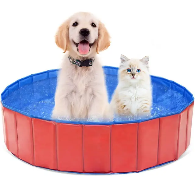 Butyeak Plegable - Piscina para Perros y Gatos, Portátil PVC, 60 x 20 cm