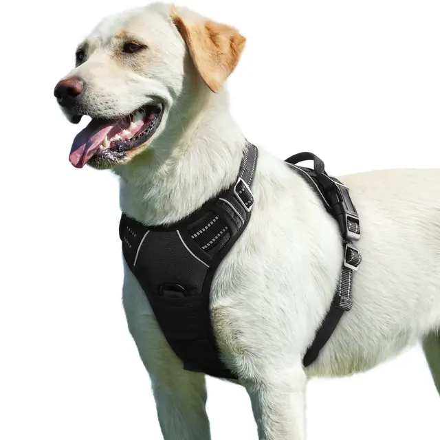 Eagloo Arnes Perro Grande Mediano, Arnes Antitirones Perro Antiescape, Chaleco Acolchado Ajustable, Anillos de Pecho y Espalda, Transpirable con Cinta Reflectante, Ejercer Correr, L Negro