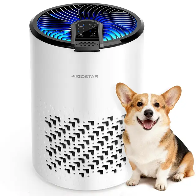 Aigostar Purificador de Aire con Filtro HEPA y Carbón Activado para Dormitorio, 15dB Silencioso Modo Sueño, Elimina Olores, Polvo y Alérgenos, Temporizador 8H, Indicador de Filtro, Aromaterapia