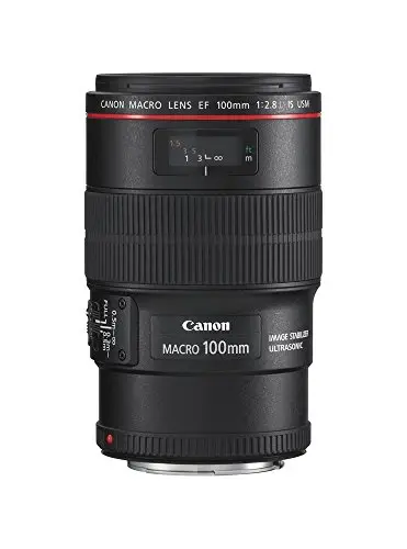Canon EF 100mm f/ 2.8L Macro IS USM - Objetivo para Canon (Distancia Focal Fija 100mm, Apertura f/2.8-32, estabilizador, diámetro: 67mm) Negro