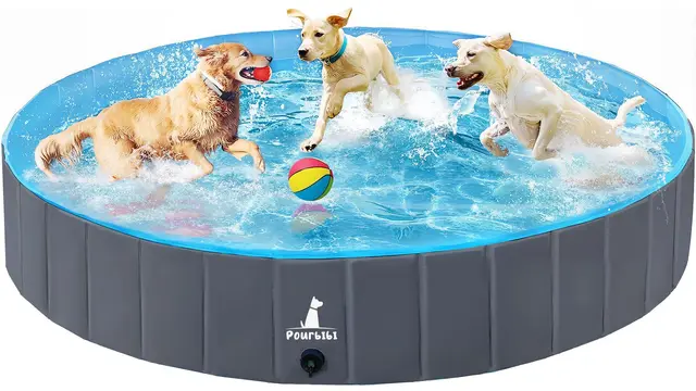 Pourbibi Piscina para Perros Grandes, Piscina Plegable para Perros, Bañera Portátil De PVC para Perros, Piscina para Perros Grandes Y Pequeños, 160 X 30 cm