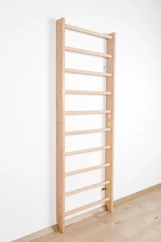 Escalera Sueca Sport-0-220 Espaldera para Gimnasio, Espaldera de Fitness, Complejo Deportivo de Gimnasia, Gimnasia de los niños en casa, Barras