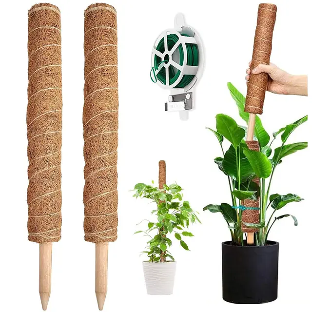 yaungel tutores plantas 41cm pack 2 coco