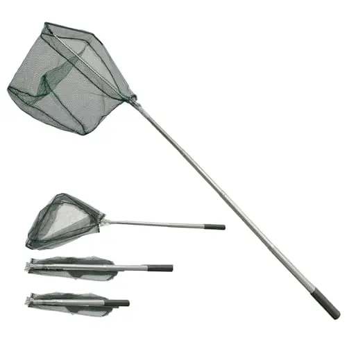 wangdefu salabre telescópico 205cm