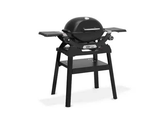 weber q 1200n barbacoa de gas