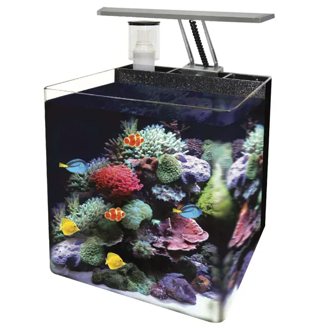ocean free at561a nano cubo marino