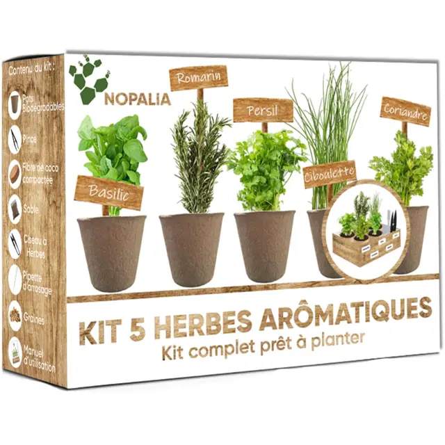 nopalia kit hierbas aromáticas