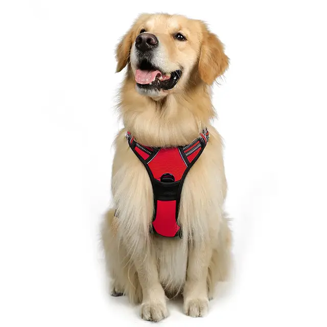 rabbitgoo Arnes Perro Grande, Arnes Perro Antitirones Coche con Lineas Reflecantes, Chaleco Acolchado Ajustable Transpirable con Asa y Anillos para Adiesreamiento Correr Tamaño L Color Rojo