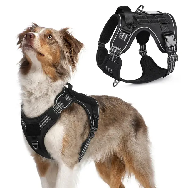 rabbitgoo Arnes Perro Antitirones, Arnes Perro Mediano Grande Transpirable, Arnes Táctico Perro Ajustable con Asa Anillos y Molle, Chaleco Durable Reflectante para Adiestrar Caminar Cazar, M, Negro