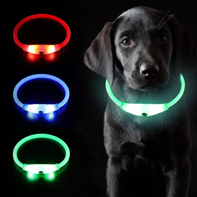 coolzon collar luminoso recargable