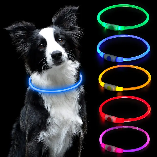 lairi auauy collar led recargable usb