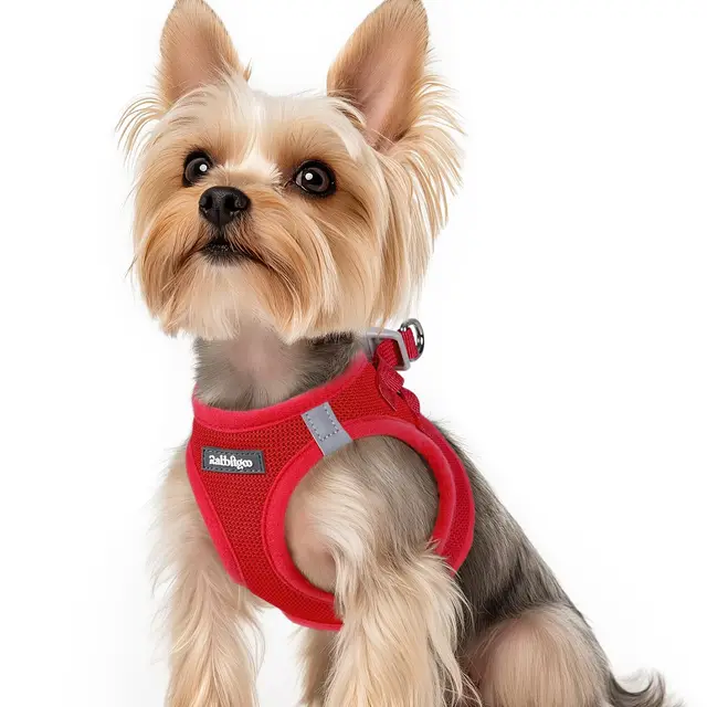 rabbitgoo Arnes Perro Pequeño Rojo XS, Arnés Antitirones para Perros Ajustable Fácil de Poner, Arnes Cachorro de Malla Suave Transpirable, Chaleco Reflectante para Perro Pequeño y Mediano
