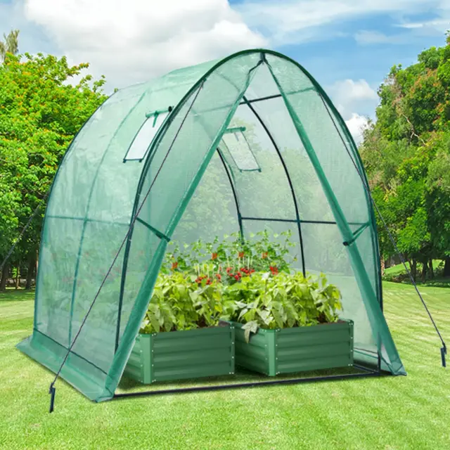 Ohuhu Invernadero de Jardín 180x180x200cm, Invernadero Túnel con Ventanas de Malla Cubierta Exterior de Plástico PE para Verduras Plantas Flores Proteja Sus Plantas en Todas Las Estaciones del Año