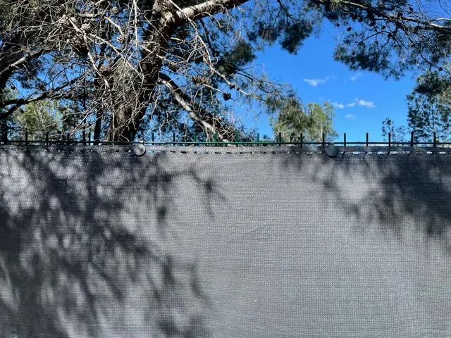 Malla de Ocultación HDPE de 170 g/m², con Tratamiento UV, Ultra Resistente. Ideal para Vallas de jardín, Patios y Balcones. | 1x10m, Color Gris Oscuro.