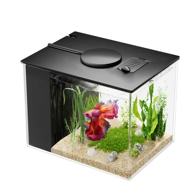 vehipa 3,7l acuario betta