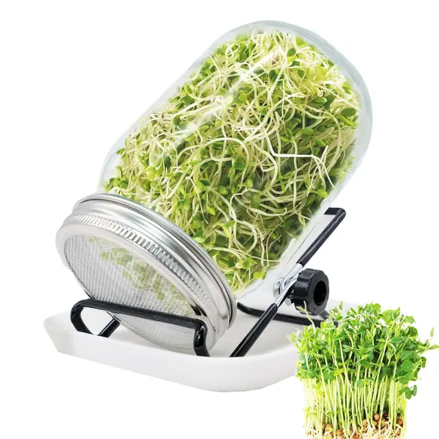 uqmiqura tarro germinación 1l acero