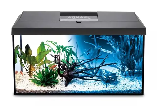 aquael leddy 60 acuario completo – Imagen 1