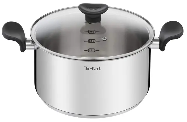 Tefal Olla de 24 cm (5.3 L) + tapa de cristal, todos los fuegos incluyendo inducción, acero inoxidable de primera calidad, 10 años de garantía, hervir, Primary E3084604
